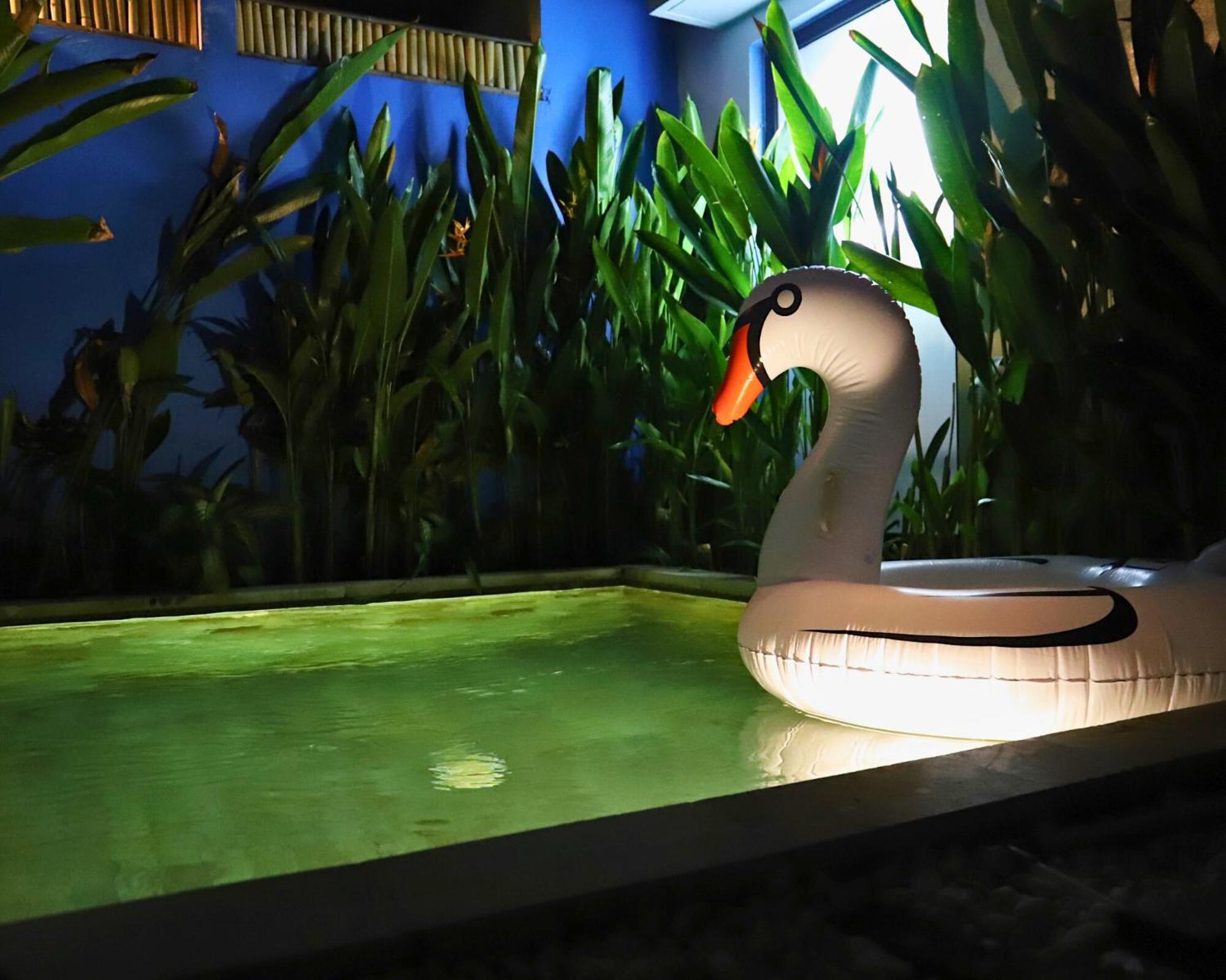 Peacock Private Pool Paradise Dalung  Exteriör bild